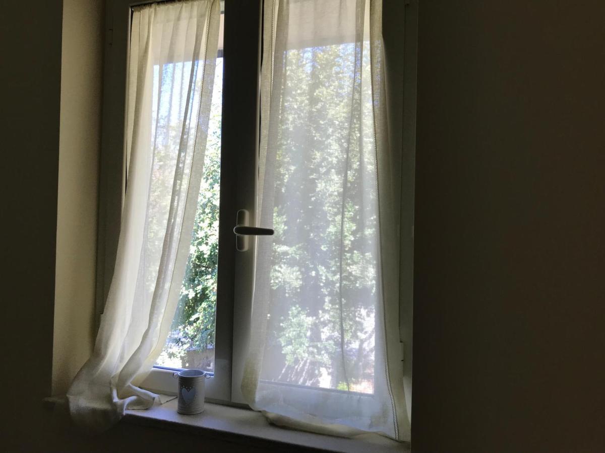 B&B Villa Degli Ulivi Praia a Mare Zewnętrze zdjęcie