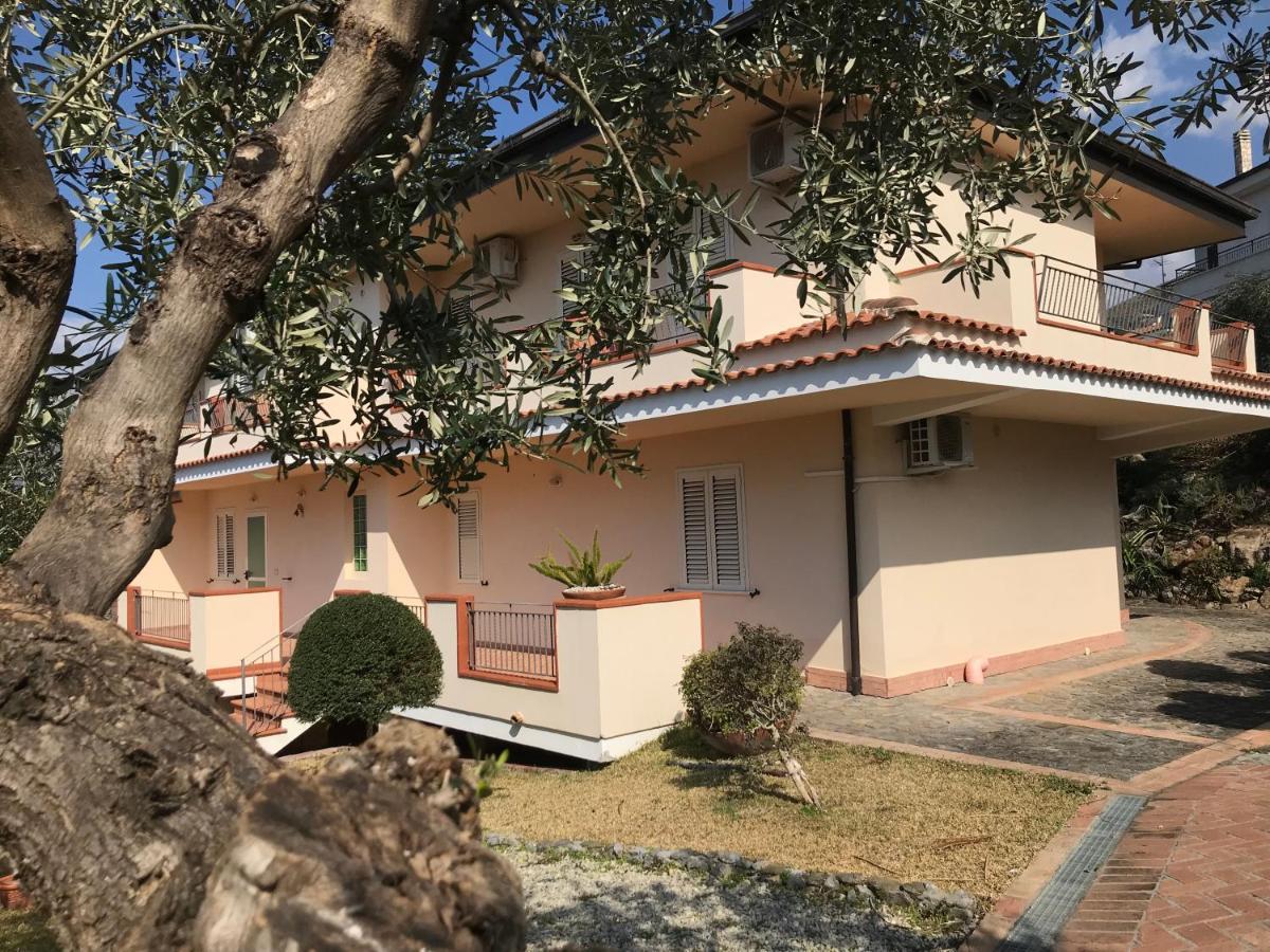 B&B Villa Degli Ulivi Praia a Mare Zewnętrze zdjęcie
