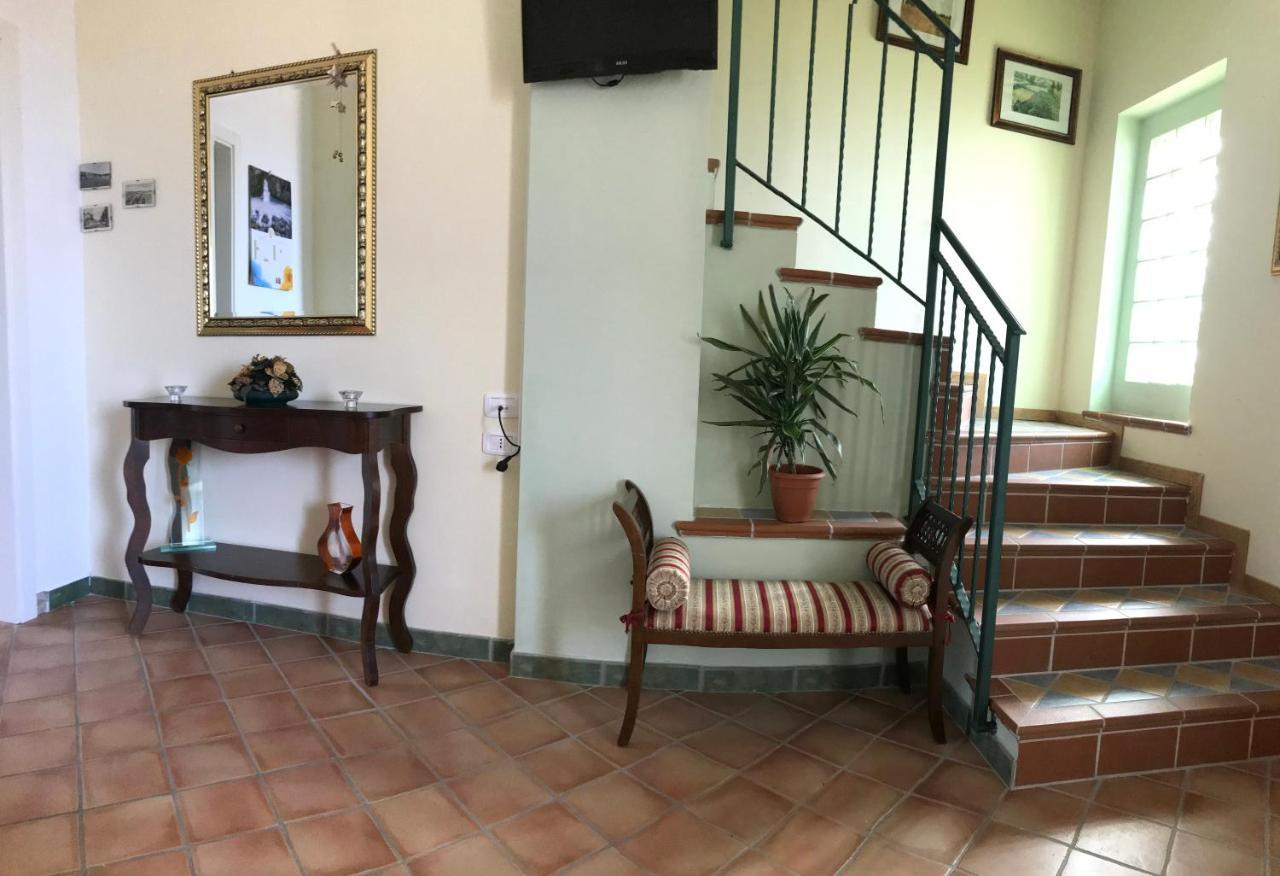 B&B Villa Degli Ulivi Praia a Mare Zewnętrze zdjęcie