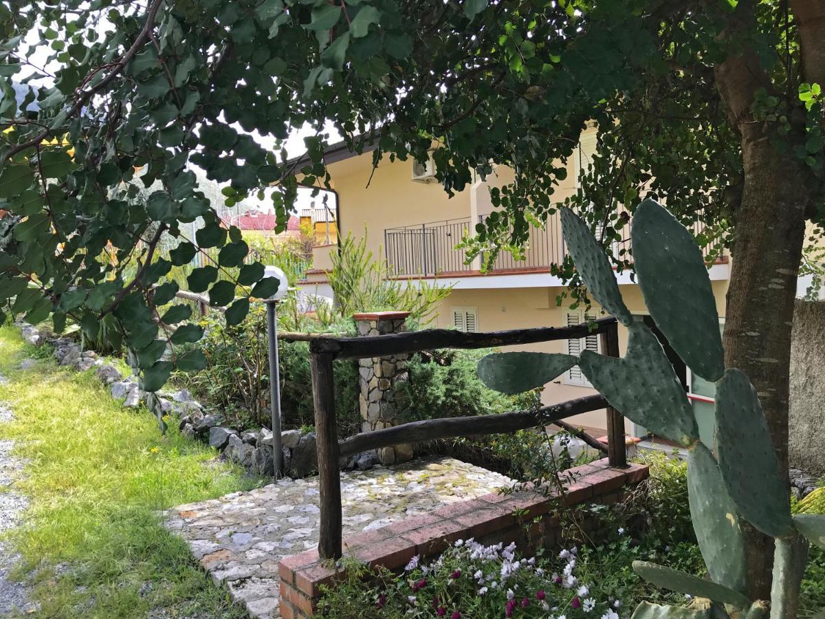 B&B Villa Degli Ulivi Praia a Mare Zewnętrze zdjęcie