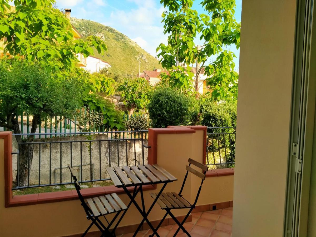 B&B Villa Degli Ulivi Praia a Mare Zewnętrze zdjęcie